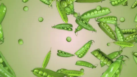 Falling PEAS Animation, Background, Loop, with Alpha Matte Stock Footage 157339964