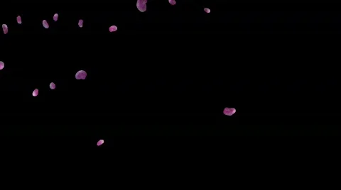 Falling petals with alpha matte Stock Footage 482538