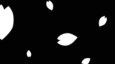 Falling petals cherry blossom transition mask Stock Footage 172064321