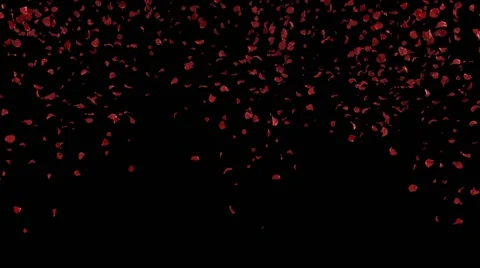 Falling petals roses 3d animation with alpha channel Video stock 51840635