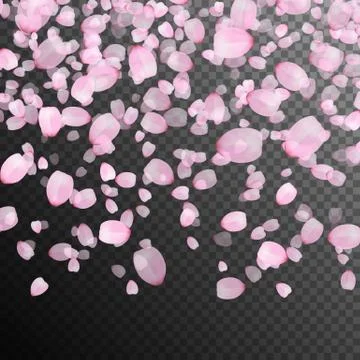 Falling petals of sakura Stock Illustration