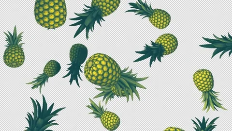 Falling Pineapples with Alpha Stock Footage 244657005