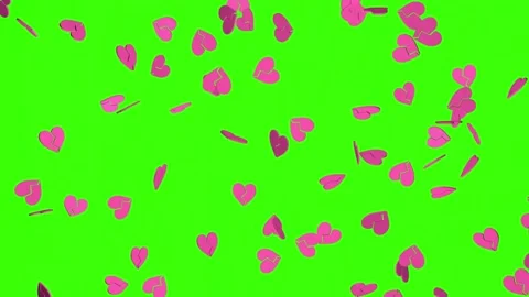 Falling pink broken hearts on a green screen background. Stock Footage 211649797