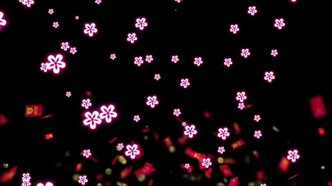 Falling Pink Cherry Blossom Flowers and Red Rose Petals on Black Background 스톡 동영상 336662583
