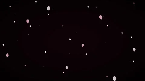 Falling pink cherry blossom petals overlay on black background, for romanti.. Stock Footage 337553853