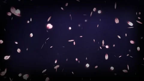 Falling Pink Cherry Blossom Petals Motion Background Loop 4K Видео 345219843