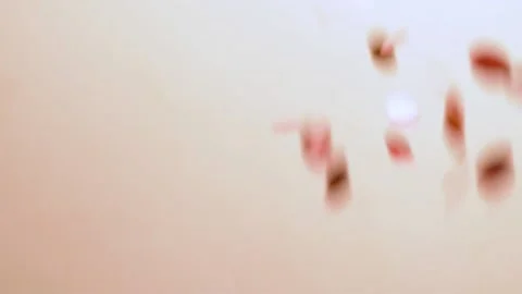 Falling Pink Confetti on A Light Background, Slow Motion, Close-up. Confetti Is  Stock Footage 166092386