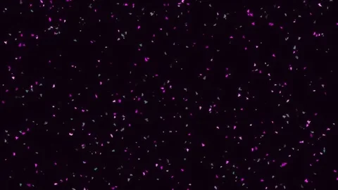 Falling pink confetti particles on black background seamless loop Stock Footage 342205794