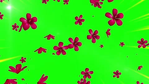 Falling Pink Flowers on Green Screen Background Stock Footage 337454165