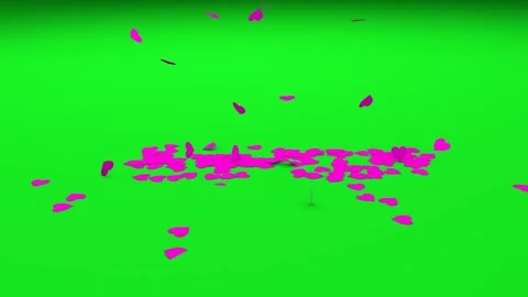 Falling pink hearts on a chroma key background. Stock Footage 310563829