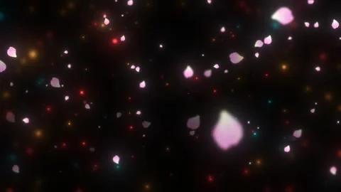 Falling pink petals and bokeh lights on black background with video gentle Vidéo 345104880