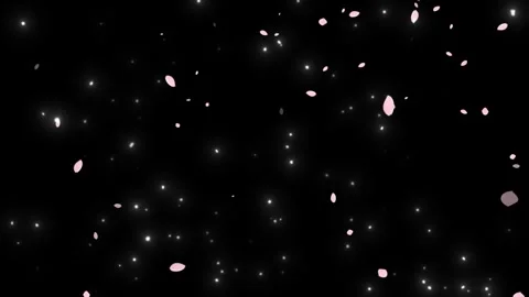 Falling Pink Petals and Glowing Particles Floating in Dark Background with Soft Stock Footage 338441208