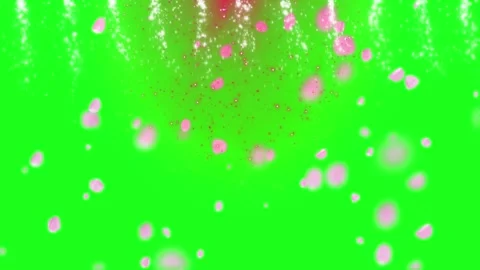 Falling pink petals and sparkling light particles cascading downward on a Stock Footage 339257419