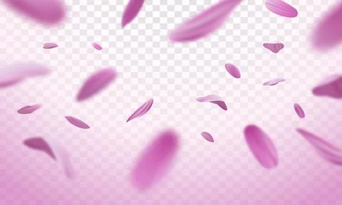 Falling pink petals on a transparent background Stock Illustration