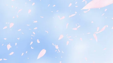 Falling pink rose petals or cherry tree blossoms over blue sky. Slow motion. Video stock 71917285