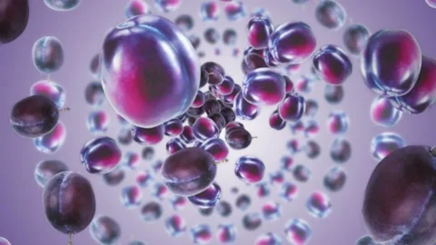 Falling PLUMS Background, Loop, with Alpha Matte Stock Footage 162969264