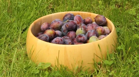 Falling plums Stock Footage 8577801