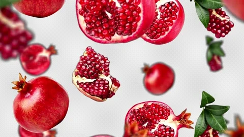 Falling pomegranate Background, with Alpha Channel, Loop  스톡 동영상 231067633