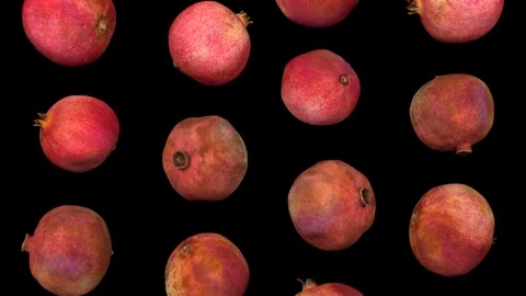 Falling Pomegranates on Black Background (Looping) Stock Footage 93009258