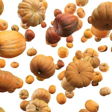 Falling Pumpkin isolated on white background, selective focus Ilustração Stock