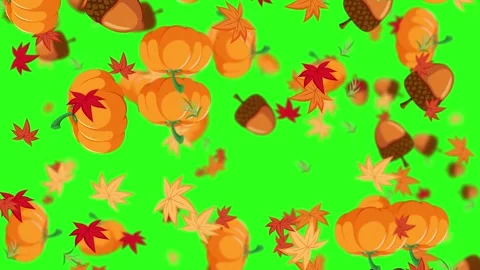 Falling Pumpkins, Acorns, and Autumn Leaves on Green Screen Stock Footage 324839111