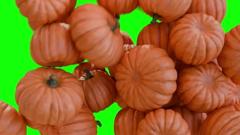 Falling Pumpkins on Green Screen Video Transitions 스톡 동영상 317598007