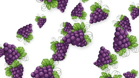 Falling Purple Grape Bunches Animation on White Background Stockbeeldmateriaal 346113644