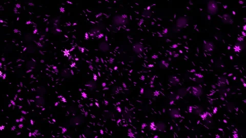 Falling Purple Snow Flakes Stock Footage 86288849