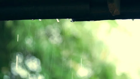 Falling rain and water drop from roof . Stock Footage 96565687