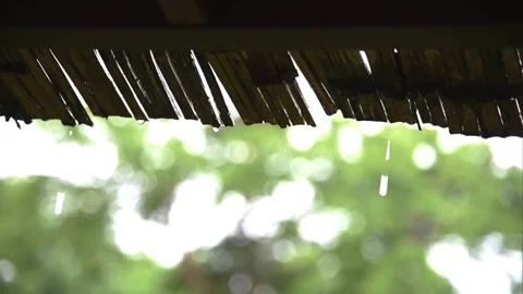 Falling rain and water drop from roof and Flowing Smoothly Down. in morning day Stock Footage 336571148