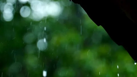 Falling rain and water drop from roof and Flowing Smoothly Down. in morning day Stock Footage 336571227