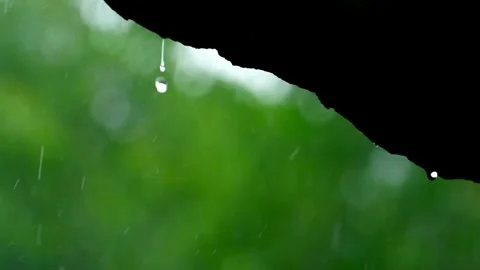 Falling rain and water drop from roof and Flowing Smoothly Down. in morning day Stock Footage 336571271