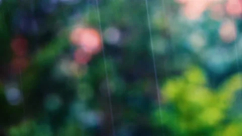 Falling rain drops and green bokeh in forest Stock Footage 133869653