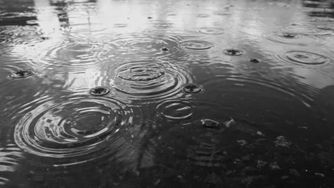 Falling rain drops on reflected puddle in slow motion. Water drops. Stock Footage 154921695