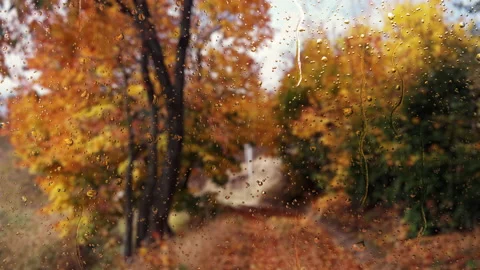 Falling rain drops on window surface. Stock Footage 144922138