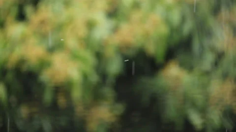 Falling Rain Stock Footage 37609078