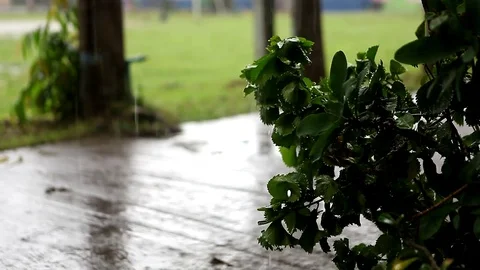 Falling Rain Stock Footage 76645843