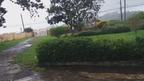 Falling rain Stock Footage 142605888