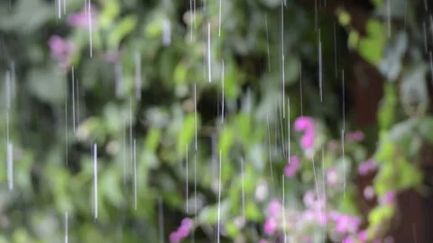 Falling rain in a garden, blurred background Stock Footage 148354506