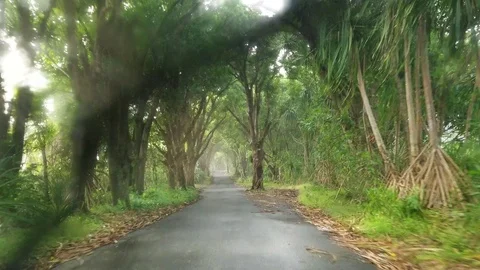 The falling rain makes a dramatic effect on a beautiful drive along the Stock Footage 95644588
