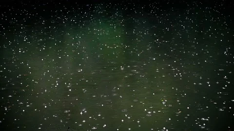 Falling rain over the forest lake Video stock 135017525
