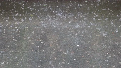 Falling Raindrops on the Ground Stock Footage 130677451