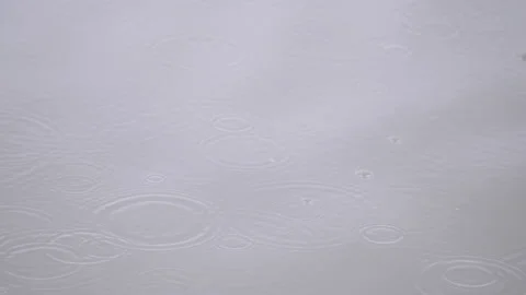 Falling raindrops on a water surface Stock Footage 155313168