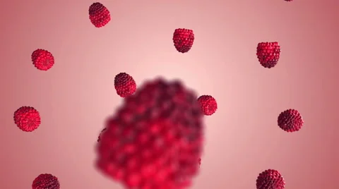 Falling raspberries on gradient background Stock Footage 58092840