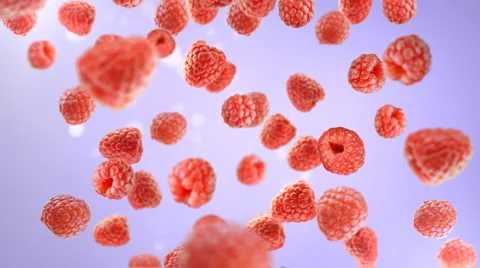 Falling raspberries in the studio. Stock Footage
