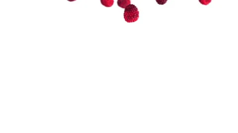 Falling raspberries on white background Stock Footage