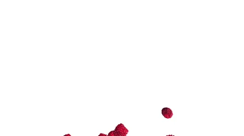 Falling raspberries on white background Stock Footage 58092741