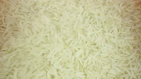 Falling Raw Rice Grains Under Macro. Stock Footage 164896035