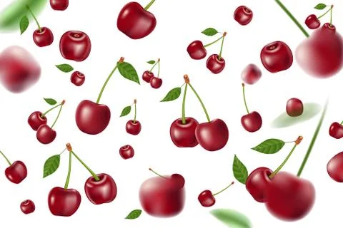 Falling realistic ripe cherry elements. Realistic red cherry with leaves 스톡 일러스트