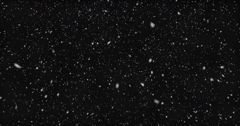 Falling realistic snowflakes from top to bottom, calm snow, on black background Stock Footage